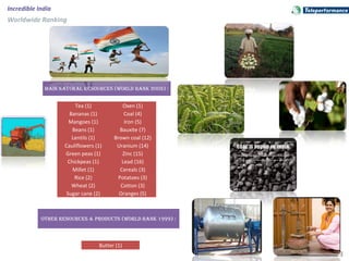 13
Incredible India
Worldwide Ranking
MAIN NATURAL RESOURCES (wORLd RANk 2002) :
Tea (1) Oxen (1)
Bananas (1) Coal (4)
Mangoes (1) Iron (5)
Beans (1) Bauxite (7)
Lentils (1) Brown coal (12)
Cauliflowers (1) Uranium (14)
Green peas (1) Zinc (15)
Chickpeas (1) Lead (16)
Millet (1) Cereals (3)
Rice (2) Potatoes (3)
Wheat (2) Cotton (3)
Sugar cane (2) Oranges (5)
OTHER RESOURCES & PROdUCTS (wORLd RANk 1999) :
Butter (1)
 