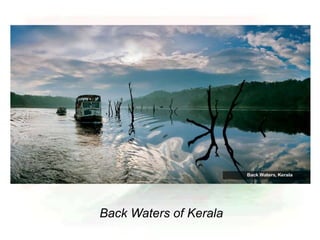 Back Waters of Kerala
 