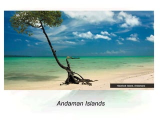 Andaman Islands
 