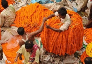 Kolkata, India: Marigold Flowers, Marketing Places, Flowers Vendor.
 