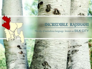 The city of melodious language known as SILK CITY
INCREDIBLE RAJSHAHI
 
