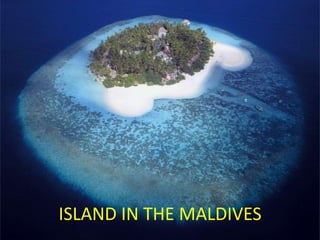 ISLAND IN THE MALDIVES