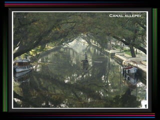 Canal allepei 