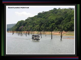 Santuario periyar 