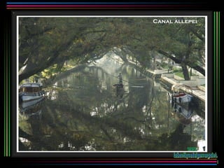 Canal allepei www. laboutiquedelpowerpoint. com 
