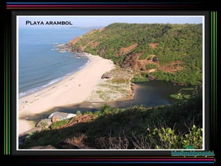 Playa arambol www. laboutiquedelpowerpoint. com 