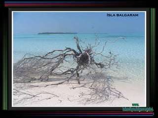 Isla balgaram www. laboutiquedelpowerpoint. com 