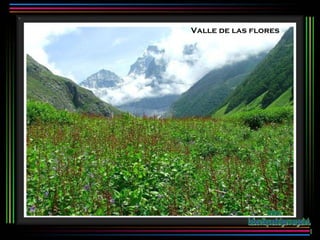 Valle de las flores www. laboutiquedelpowerpoint. com 