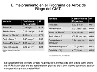 Incremento del potencial de rendimiento en la alianza global de la ciencia del arroz