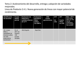 Incremento del potencial de rendimiento en la alianza global de la ciencia del arroz