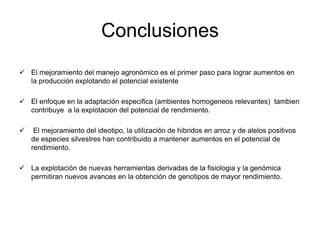 Incremento del potencial de rendimiento en la alianza global de la ciencia del arroz