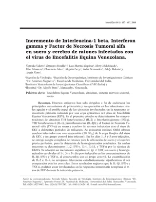 Incremento de Interleucina-1 beta, Interferon
gamma y Factor de Necrosis Tumoral alfa
en suero y cerebro de ratones infectados con
el virus de Encefalitis Equina Venezolana.
Nereida Valero1, Ernesto Bonilla2,3, Luz Marina Espina1, Mery Maldonado1,
Elsa Montero4, Florencio Añez1, Alegría Levy1, John Bermudez1, Eddy Meleán1 y
Anais Nery1.
1Sección de Virología, 2Sección de Neuroquímica, Instituto de Investigaciones Clínicas
“Dr. Américo Negrette”, Facultad de Medicina, Universidad del Zulia,
3Instituto Venezolano de Investigaciones Científicas (IVIC-Zulia) y
4Hospital “Dr. Adolfo Pons”, Maracaibo, Venezuela.
Palabras clave: Encefalitis Equina Venezolana, citocinas, sistema nervioso central,
suero.
Resumen. Diversos esfuerzos han sido dirigidos a fin de esclarecer los
principales mecanismos de protección y recuperación en las infecciones vira-
les agudas y el posible papel de las citocinas involucradas en la respuesta in-
munitaria primaria inducida por una cepa epizoótica del virus de Encefalitis
Equina Venezolana (EEV). En el presente estudio se determinaron las concen-
traciones de citocinas TH1 Interleucina-2 (IL-2) e Interferon-gamma (IFN-g),
TH2 Interleucina-4 (IL-4), proinflamatorias (IL-1b) y el Factor de Necrosis Tu-
moral -alfa (TNF-a) en suero y cerebro de ratones infectados con el virus de
EEV a diferentes períodos de infección. Se utilizaron ratones NMRI albinos
machos infectados con una suspensión (10 DL50) de la cepa Guajira del virus
de EEV, y un grupo control (sin infectar). En los días 1, 3 y 5 post-infección,
se extrajo sangre completa de ratones para la obtención de suero y el cerebro
previa perfusión, para la obtención de homogeneizados cerebrales. En ambas
muestras se determinaron IL-2, IFN-g, IL-4, IL-1b, y TNF-a por la técnica de
ELISA. Se observó un incremento significativo (p < 0,01) en suero y homoge-
neizados cerebrales al 1er, 3er y 5to día post-infección en las concentraciones de
IL-1b, IFN-g y TNF-a, al compararlos con el grupo control. La cuantificación
de IL-2 e IL-4, no arrojaron diferencias estadísticamente significativas al ser
comparados con los controles. Estos resultados sugieren que la IL-1b, IFN-g y
TNF-a, podrían estar involucradas en la respuesta inmunitaria temprana al vi-
rus de EEV durante la infección primaria.
Invest Clin 49(4): 457 - 467, 2008
Autor de correspondencia: Nereida Valero. Sección de Virología, Instituto de Investigaciones Clínicas “Dr.
Américo Negrette”, Apartado Postal 23. Facultad de Medicina, Universidad del Zulia. Maracaibo, Venezuela.
Tel. (0261)3279847, Fax: (0261) 7597247, Cel: (0414) 3624181. E-mail: nere98@hotmail.com.
 
