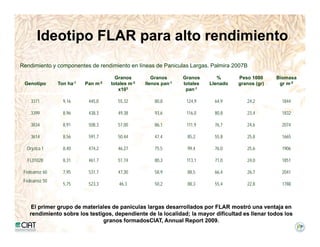 Incremento rendimiento potencial_variedades_convencionales