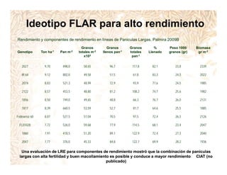 Incremento rendimiento potencial_variedades_convencionales