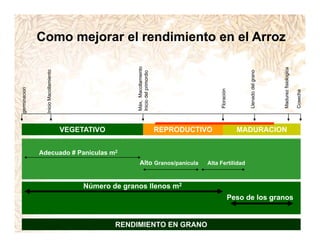 Incremento rendimiento potencial_variedades_convencionales