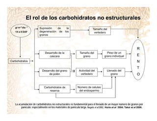 Incremento rendimiento potencial_variedades_convencionales