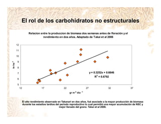 Incremento rendimiento potencial_variedades_convencionales