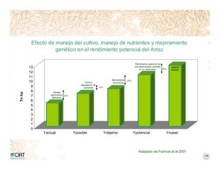 Incremento rendimiento potencial_variedades_convencionales