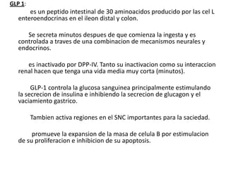 GLP 1:
       es un peptido intestinal de 30 aminoacidos producido por las cel L
   enteroendocrinas en el ileon distal y colon.

      Se secreta minutos despues de que comienza la ingesta y es
   controlada a traves de una combinacion de mecanismos neurales y
   endocrinos.

      es inactivado por DPP-IV. Tanto su inactivacion como su interaccion
   renal hacen que tenga una vida media muy corta (minutos).

        GLP-1 controla la glucosa sanguinea principalmente estimulando
   la secrecion de insulina e inhibiendo la secrecion de glucagon y el
   vaciamiento gastrico.

         Tambien activa regiones en el SNC importantes para la saciedad.

        promueve la expansion de la masa de celula B por estimulacion
   de su proliferacion e inhibicion de su apoptosis.
 