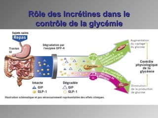 Rôle des Incrétines dans leRôle des Incrétines dans le
contrôle de la glycémiecontrôle de la glycémie
 
