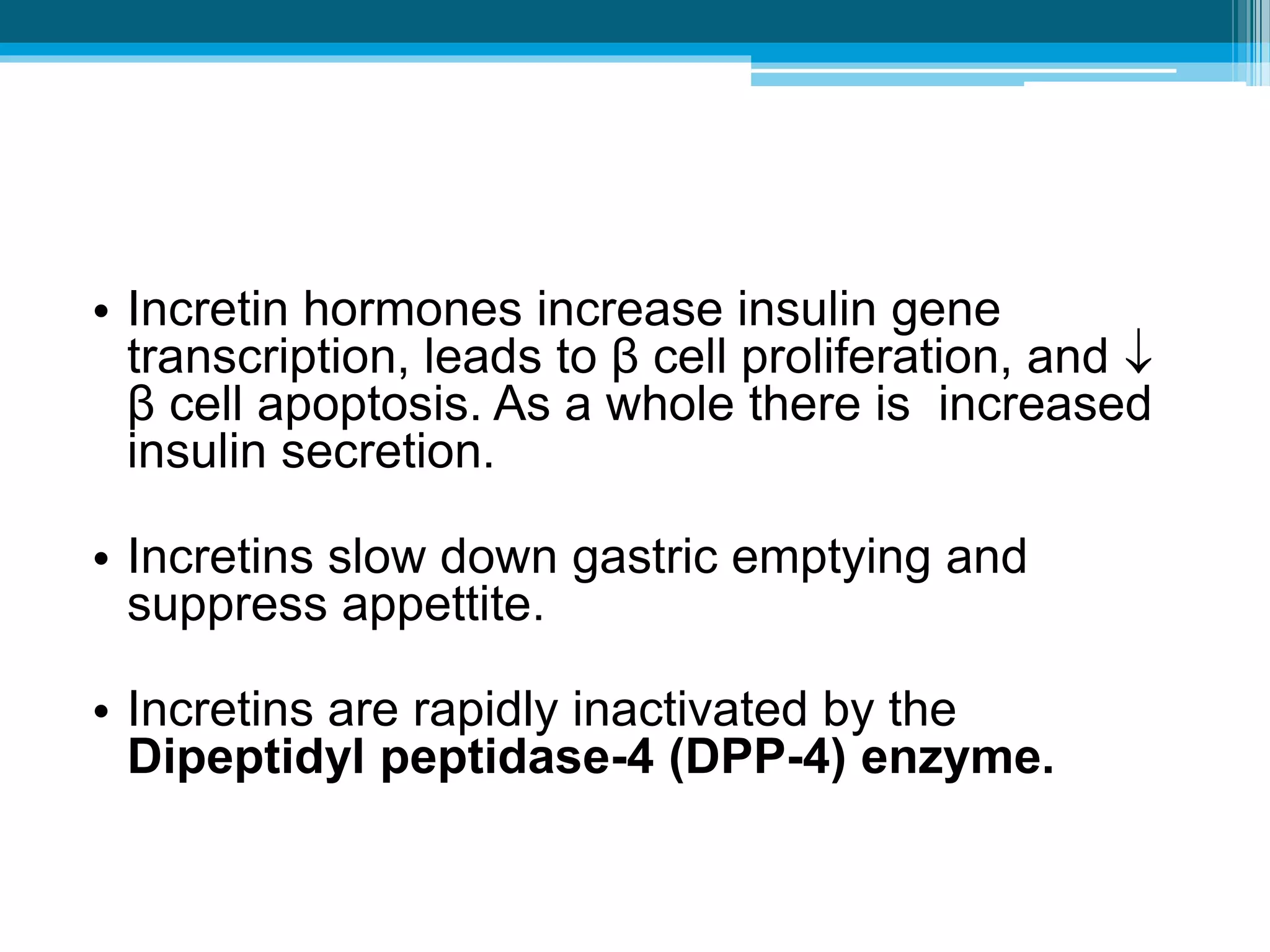 • Incretin hormones increase insulin gene
transcription, leads to β cell proliferation, and 
β cell apoptosis. As a whole there is increased
insulin secretion.
• Incretins slow down gastric emptying and
suppress appettite.
• Incretins are rapidly inactivated by the
Dipeptidyl peptidase-4 (DPP-4) enzyme.
 