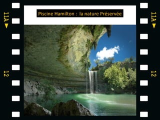Piscine Hamilton : la nature Préservée
 