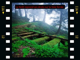 La forêt reprend ses droits sur la Voie ferrée
 