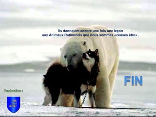 Ils donnaient encore une fois une leçon
aux Animaux Rationnels que nous sommes «censés être» .
 