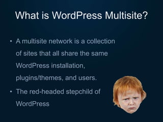 What is WordPress Multisite?
• A multisite network is a collection
of sites that all share the same
WordPress installation,
plugins/themes, and users.
• The red-headed stepchild of
WordPress
 