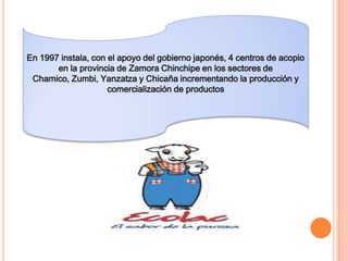En 1997 instala, con el apoyo del gobierno japonés, 4 centros de acopio
       en la provincia de Zamora Chinchipe en los sectores de
 Chamico, Zumbi, Yanzatza y Chicaña incrementando la producción y
                     comercialización de productos
 