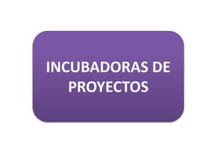 INCUBADORAS DE
PROYECTOS

 