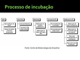 Fonte: Centro de Biotecnologia da Amazônia 
