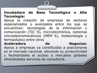 Incubadora de Base Tecnológica o Alta Tecnología: Apoya la creación de empresas de sectores especializados o avanzados entre los que se encuentran: tecnologías de la información y comunicación (TIC´S), microelectrónica, sistemas microelectromecánicos (MEM´S), biotecnología y farmacéutico entre otros Aceleradora de Negocios: Apoya a empresas ya constituidas a posicionarse en el mercado nacional, elevando su productividad y facilitándoles el acceso a mercados globales ofreciéndoles servicios de consultoría. 