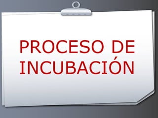 PROCESO DE INCUBACIÓN 