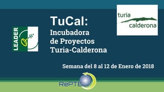 TuCal:
Incubadora
de Proyectos
Turia-Calderona
Semana del 8 al 12 de Enero de 2018
 