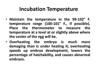 Incubation Temperature
• Maintain the temperature in the 99-102° F.
temperature range (100-101° F., if possible).
Place the thermometer to measure the
temperature at a level at or slightly above where
the center of the egg will be.
• Overheating the embryo is much more
damaging than is under heating it; overheating
speeds up embryo development, lowers the
percentage of hatchability, and causes abnormal
embryos.

 