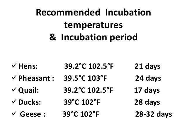 Incubator Temperature Chart