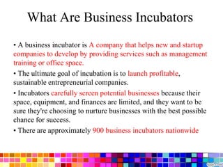 What Are Business Incubators
• A business incubator is A company that helps new and startup
companies to develop by providing services such as management
training or office space.
• The ultimate goal of incubation is to launch profitable,
sustainable entrepreneurial companies.
• Incubators carefully screen potential businesses because their
space, equipment, and finances are limited, and they want to be
sure they're choosing to nurture businesses with the best possible
chance for success.
• There are approximately 900 business incubators nationwide
 