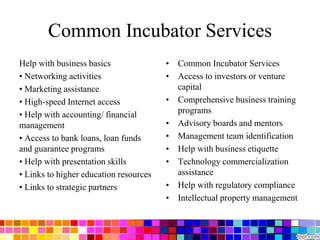 Common Incubator Services
Help with business basics
• Networking activities
• Marketing assistance
• High-speed Internet access
• Help with accounting/ financial
management
• Access to bank loans, loan funds
and guarantee programs
• Help with presentation skills
• Links to higher education resources
• Links to strategic partners
• Common Incubator Services
• Access to investors or venture
capital
• Comprehensive business training
programs
• Advisory boards and mentors
• Management team identification
• Help with business etiquette
• Technology commercialization
assistance
• Help with regulatory compliance
• Intellectual property management
 