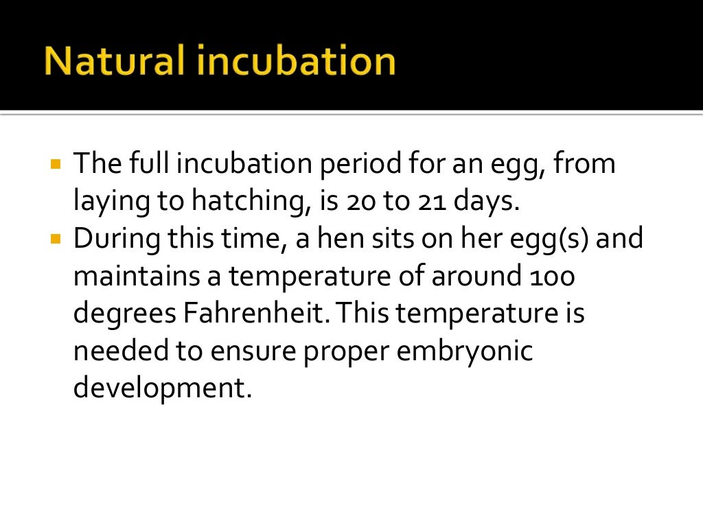 Incubation method, types of incubators and seasonal hatching (1)