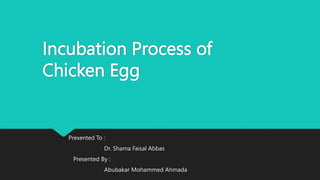 Incubation Process of
Chicken Egg
Presented To :
Dr. Shama Faisal Abbas
Presented By :
Abubakar Mohammed Ahmada
 