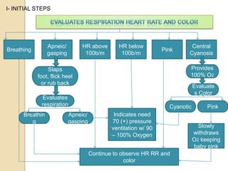 I- INITIAL STEPSEvaluates Respiration Heart Rate and ColorApneic/ gaspingBreathingHR above 100b/mHR below 100b/mPinkCentral CyanosisProvides 100% O2Slaps foot, flick heel or rub backEvaluates ColorEvaluates respirationCyanoticPinkIndicates need 70 (+) pressure ventilation w/ 90 – 100% Oxygen BreathingApneic/ gaspingSlowly withdraws O2 keeping baby pinkContinue to observe HR RR and color