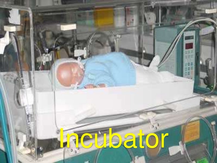 Incubator