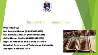 Incubator in aquaculture
Presented by:
Md. Obaidul Haque (ASH1502059M)
Md. Shahadat Hosen (ASH1502058M)
Jahid Hasan Shahin (ASH1502016M)
Dept. of Fisheries and Marine Science
Noakhali Science and Technology University
Sonapur, Noakhali-3814
 