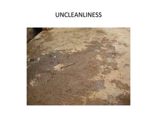 UNCLEANLINESS 