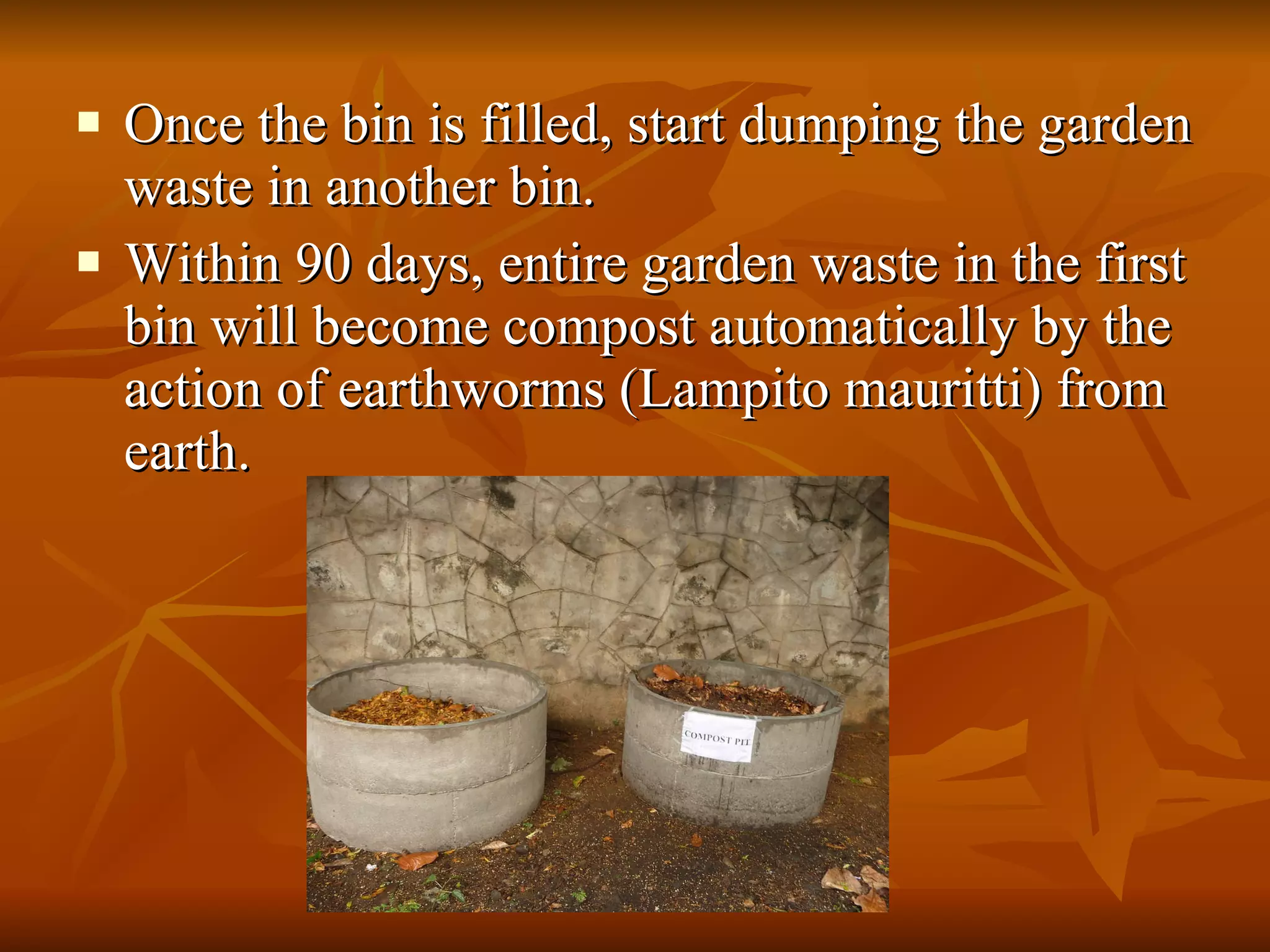 Once the bin is filled, start dumping the garden waste in another bin. Within 90 days, entire garden waste in the first bin will become compost automatically by the action of earthworms (Lampito mauritti) from earth. 