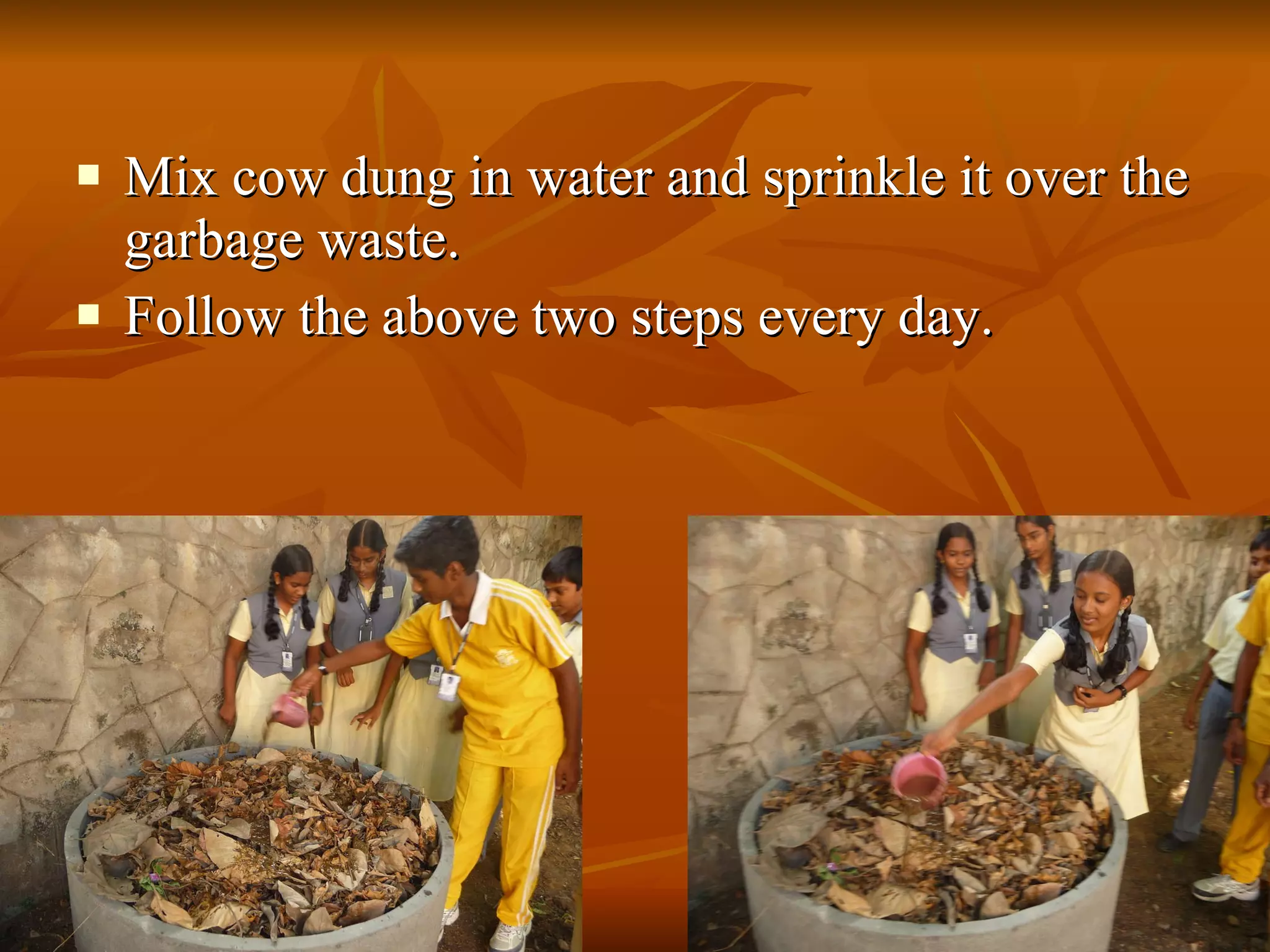 Mix cow dung in water and sprinkle it over the garbage waste. Follow the above two steps every day. 