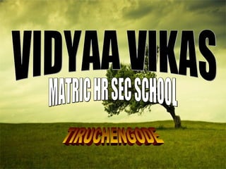 VIDYAA VIKAS MATRIC HR SEC SCHOOL TIRUCHENGODE 