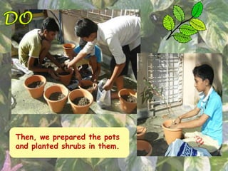 Then, we prepared the pots
and planted shrubs in them.
 
