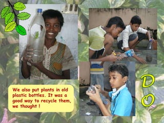 We also put plants in old
plastic bottles. It was a
good way to recycle them,
we thought !
 